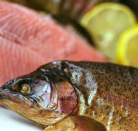 Lovedale Smokehouse Gourmet Pantry Cafe and Masterclasses - Accommodation Coffs Harbour