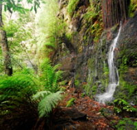 Fairy Bower Falls - Accommodation Coffs Harbour