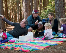 State Forests Of The Watagan Mountains - Accommodation Coffs Harbour 0