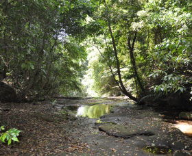 State Forests Of The Watagan Mountains - Accommodation Coffs Harbour 1