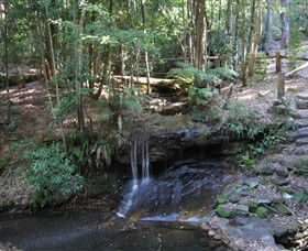 State Forests Of The Watagan Mountains - Accommodation Coffs Harbour 3