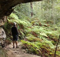 Dharug National Park - Accommodation Coffs Harbour