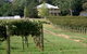 Camden Estate Wines - thumb 0
