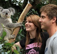 Featherdale Wildlife Park - Accommodation Coffs Harbour