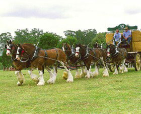 Belgenny Farm - Accommodation Coffs Harbour 2