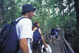 Mount Archer QLD Accommodation Coffs Harbour