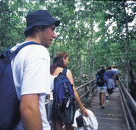 Bellthorpe National Park - Accommodation Coffs Harbour