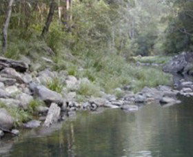 Bellthorpe National Park - Accommodation Coffs Harbour 1