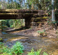 Myrtle Scrub scenic drive - Accommodation Coffs Harbour