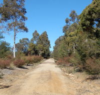 Werakata National Park - Accommodation Coffs Harbour