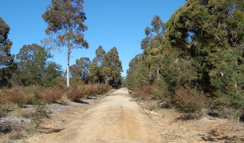 Werakata National Park - Accommodation Coffs Harbour 0