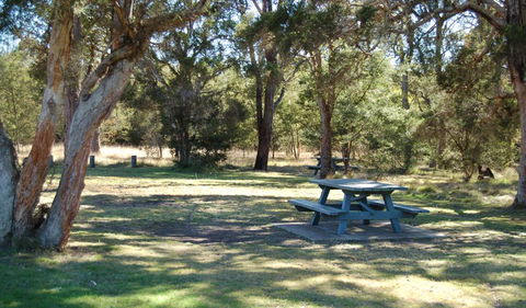 Werakata National Park - Accommodation Coffs Harbour 1