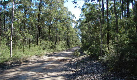 Werakata National Park - Accommodation Coffs Harbour 2