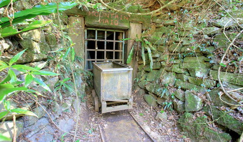 Copeland Tops State Conservation Area - Accommodation Coffs Harbour 3