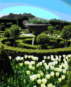 Fifth Chapter Estate - Accommodation Coffs Harbour 1