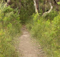 Three Views walking track - Accommodation Coffs Harbour