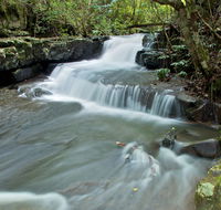 Jerusalem Creek trail - Accommodation Coffs Harbour