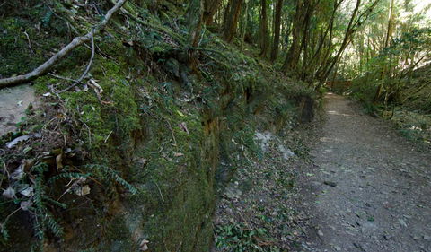 Hidden Treasure Track - Accommodation Coffs Harbour 0