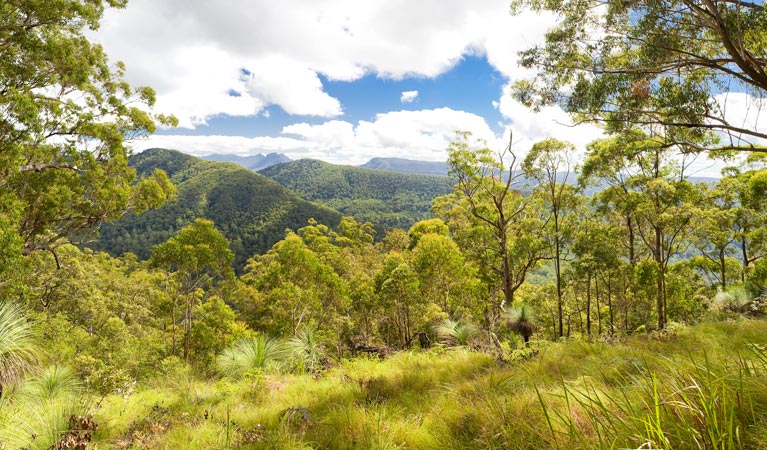 Rukenvale NSW Accommodation Coffs Harbour