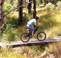 The Steps Mountain Bike Park - Accommodation Coffs Harbour