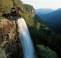 Fitzroy Falls - Accommodation Coffs Harbour