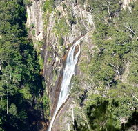 Carrai National Park - Accommodation Coffs Harbour