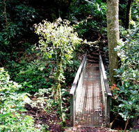 Richmond Range National Park - Accommodation Coffs Harbour