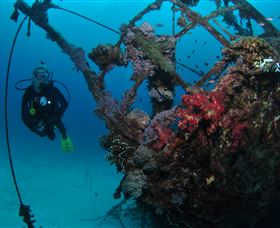 Severance Shipwreck Dive Site - Accommodation Coffs Harbour 0