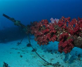 Severance Shipwreck Dive Site - Accommodation Coffs Harbour 2