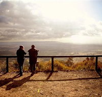 Heaton State Forest - Watagan Mountains - Accommodation Coffs Harbour