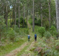 The Green Gully track - Accommodation Coffs Harbour