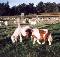 Trudgalong Farm - Accommodation Coffs Harbour