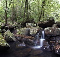 Kangaroo River - Accommodation Coffs Harbour