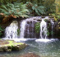 Barrington Tops National Park Walks - Accommodation Coffs Harbour