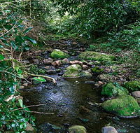 Macquarie Pass National Park - Accommodation Coffs Harbour