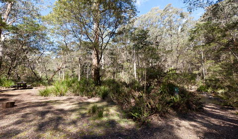Monga National Park - Accommodation Coffs Harbour 1