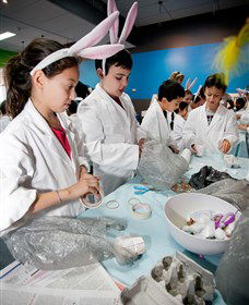 Australian Nuclear Science And Technology Organisation - Accommodation Coffs Harbour 1