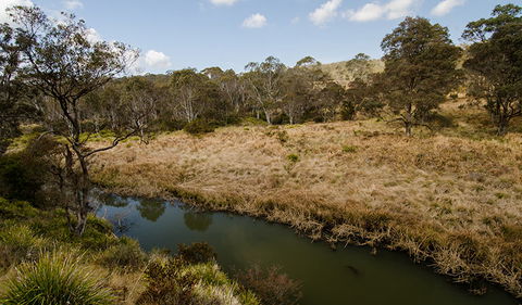 Werrikimbe National Park - Accommodation Coffs Harbour 0