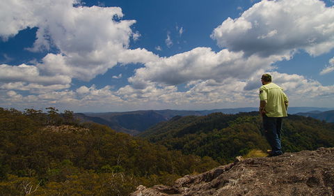 Werrikimbe National Park - Accommodation Coffs Harbour 2