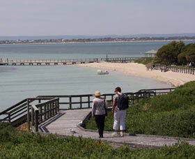 Penguin Island Boardwalks And Walk Trail - Accommodation Coffs Harbour 1