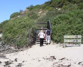 Penguin Island Boardwalks And Walk Trail - Accommodation Coffs Harbour 2