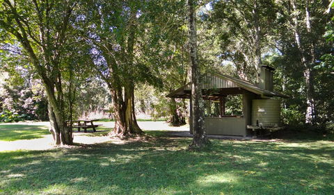 Moore Park Picnic Area - Accommodation Coffs Harbour 1