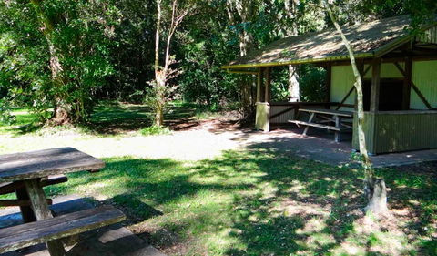 Moore Park Picnic Area - Accommodation Coffs Harbour 2