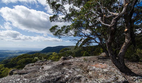 Illawarra Lookout Walking Track - Accommodation Coffs Harbour 2