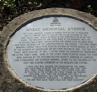 Anzac Memorial Avenue Redcliffe - Accommodation Coffs Harbour