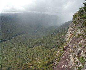 Old Glen Innes Road And The Historic Tunnel Grafton - Accommodation Coffs Harbour 1