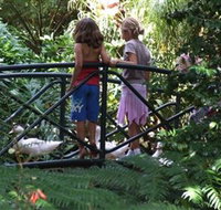 EG Waterhouse National Camellia Garden - Accommodation Coffs Harbour