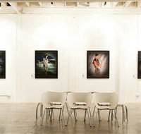 Ambush Gallery - Accommodation Coffs Harbour