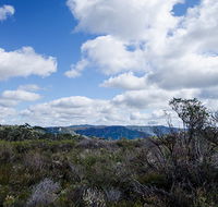 Barren Grounds Nature Reserve - Accommodation Coffs Harbour