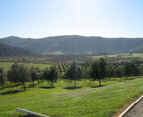 Hastings Valley Olives - Accommodation Coffs Harbour 0